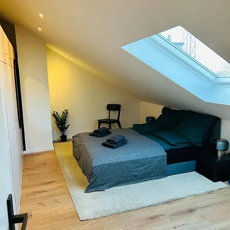 Oase & Ausblick Im Dreilaendereck וייל אם ריין